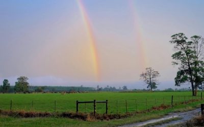 Ook met wat minder weer is Assen een leuk uitje